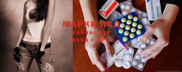 крисы Елизово