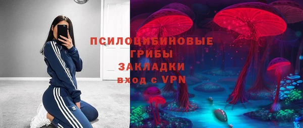 крисы Елизово