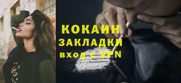 крисы Елизово