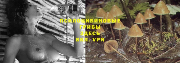 MDMA Premium VHQ Ельня